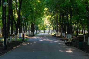 Sabahın erken saatlerinde şehir parkında karanlık bir sokakta..
