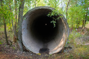 Ormanın ortasında yalnız bir beton boru.