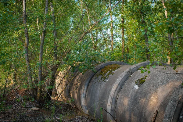 Opuštěné betonové trubky v lese — Stock fotografie