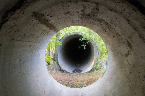 Tubos de concreto abandonados na floresta — Fotografia de Stock