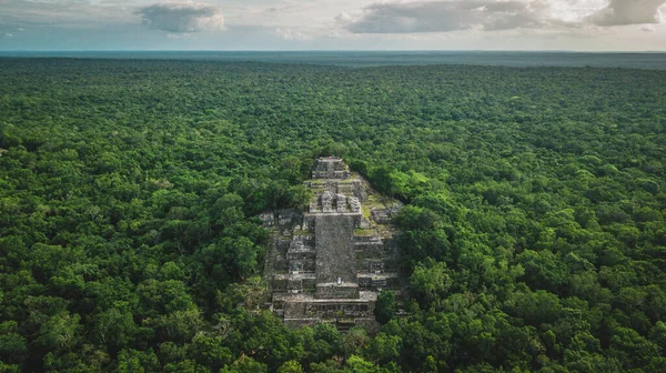 Vista Aérea Pirámide Calakmul Campeche México Ruinas Antigua Ciudad Maya —  Fotos de Stock