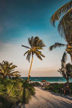 Tropik sahildeki Tulum 'da gün batımı manzarası. Quintana Roo, Meksika 'da palmiye ağacı ve plaj.