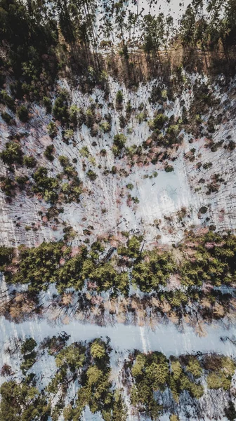 Vue Aérienne Forêt Hiver Perlacher Munich — Photo