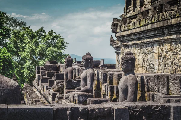 Yogyakarta 'daki Borobudur Buddist tapınağındaki Buda heykelleri. Java, Endonezya