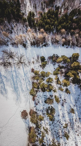 Vista Aérea Del Bosque Invierno Perlacher Múnich —  Fotos de Stock