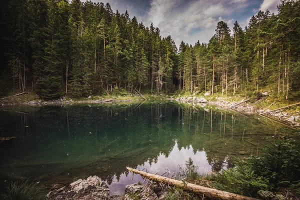 Modrá Voda Lesním Jezeře Borovicemi — Stock fotografie