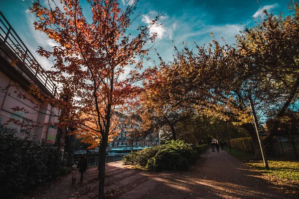 Automne Tomber Autumnal Park Arbres Feuilles Automne Sous Lumière Soleil — Photo