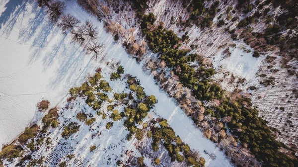 Vista Aérea Los Árboles Invierno Cubiertos Nieve Bosque Perlacher Invierno Fotos De Stock Sin Royalties Gratis