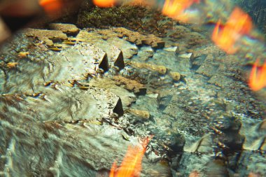 Prizma cam kırılması Teneke akıntıdaki cehennem manzarası gibi.