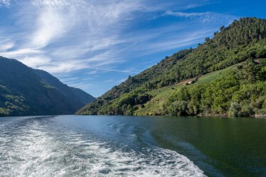 Lugo, Galiçya, İspanya 'daki Ribeira Sacra' da teraslı üzüm bağları olan Sil nehri.