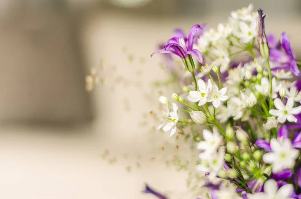 Sebuah Karangan Bunga Liar Dalam Ruang Lapang Jendela Terbuka Untuk — Stok Foto