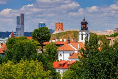 Vilnius. Şehrin havadan görünümü.