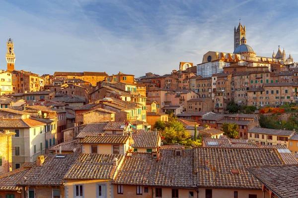 Siena. View of the old city district. — Stock Photo, Image