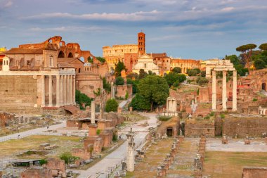 Roma. Gün batımında roman Forum.