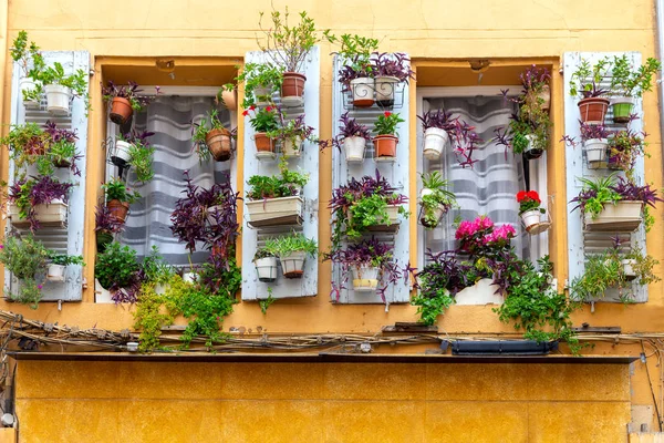 Aix-en-Provence. Ventana en la fachada naranja de la antigua casa decorada con flores . — Foto de Stock