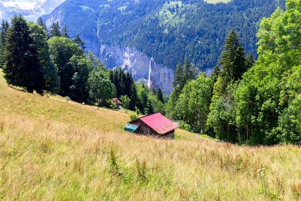 Utsikt över de schweiziska alperna nära staden Lauterbrunnen. Schweiz. — Stockfoto