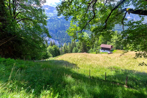 Uitzicht op de Zwitserse Alpen bij de stad Lauterbrunnen. Zwitserland. — Stockfoto