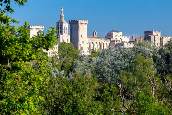 Avignon. La Provence. Le célèbre palais pontifical par une journée ensoleillée. — Photo