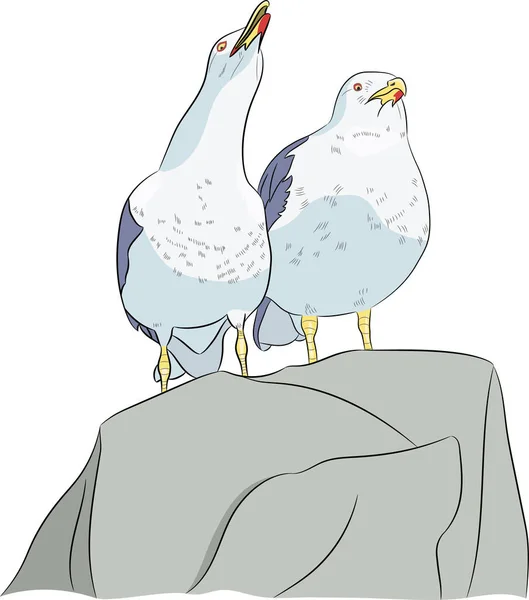 Dos grandes gaviotas sentadas en piedra . — Vector de stock