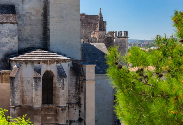 Avignon. La Provence. Le célèbre palais pontifical par une journée ensoleillée. — Photo