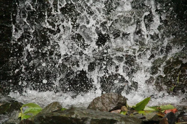 Ateşi, gökyüzünü ve suyu sonsuza dek izleyebilirsin.