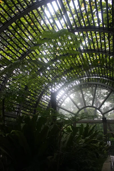 Bir seranın içinde