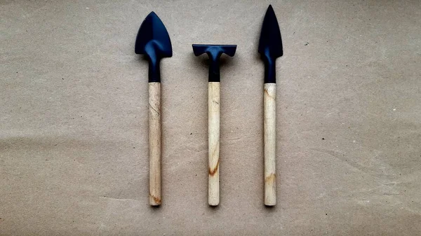 El işi kağıdında ev bitkisi envanteri