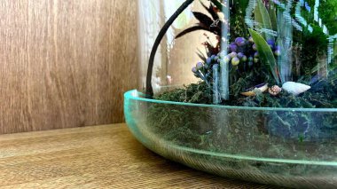 Cam bir kubbenin altındaki yeşil bitkiler