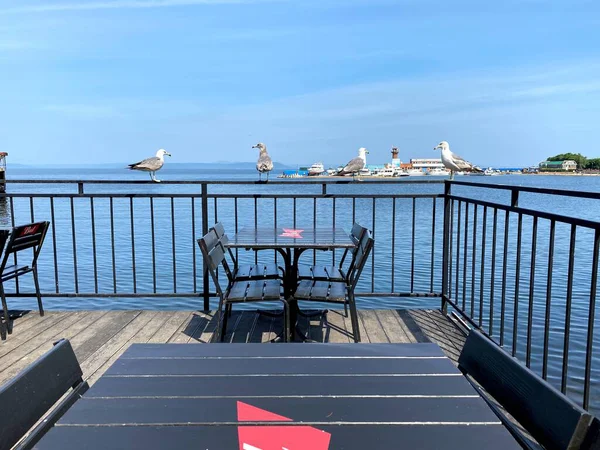 Deniz kenarındaki ziyaretçi kafe. Dört martı.