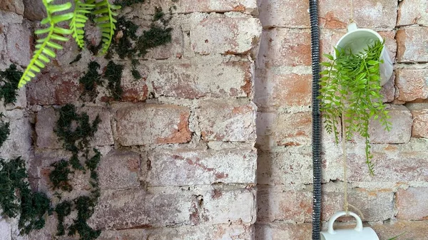 Kafelerden birinde çekici bir duvar var.