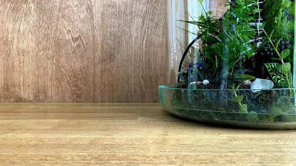 Cam bir kubbenin altındaki yeşil bitkiler