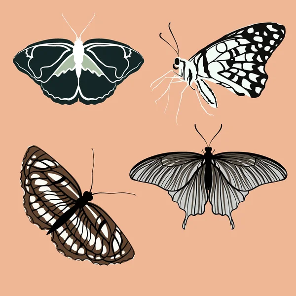 Mariposas de colores retro aisladas sobre fondo. Bonito conjunto de mariposas vector con paleta vintage — Vector de stock