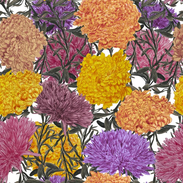 Watercolor seamless pattern beautiful bouquets with asters — Stock Photo, Image