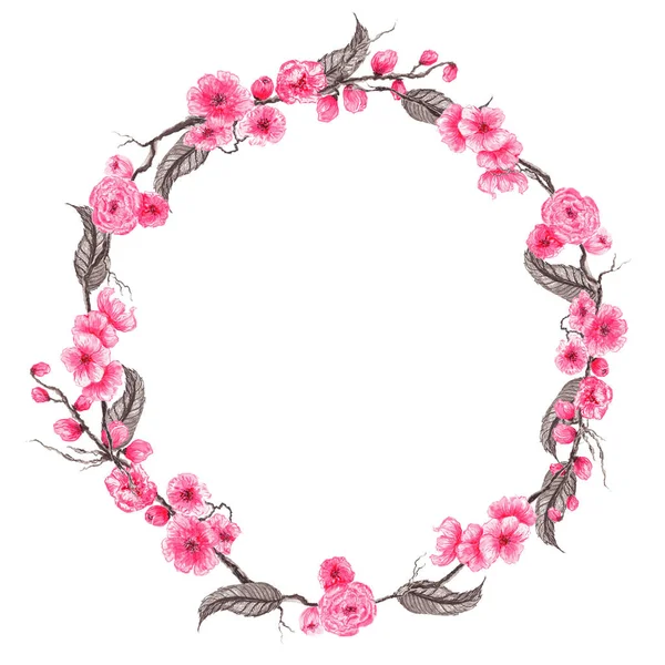 El suluboya resim çekilmiş. Botanik çelenk çiçek açan sakura. Bahar ruh. Çiçek tasarım öğeleri. Davetiye, tebrik kartları, parmak izi, afiş, vb ambalaj için mükemmel