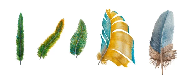 Красочные перья акварели изолированы на белом фоне — стоковое фото
