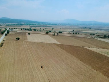 Gökyüzü manzaralı güzel yeşil çayırlar.