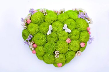 Kasımpatılar Halka Düğün Yastıkları beyaz arka planda