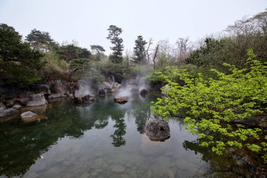 Kore 'de bahar ormanı göleti