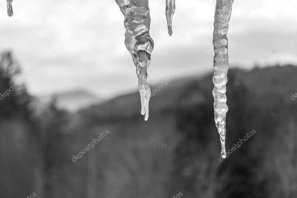 ice stalactites on a cold morning in Killington (VT, USA)