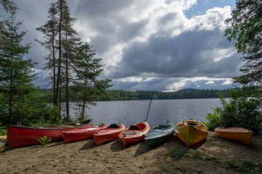 Birden fazla göl ve orman Adirondack dağlarda Ny state (ABD) içeren