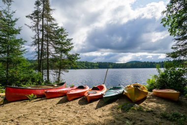 Birden fazla göl ve orman Adirondack dağlarda Ny state (ABD) içeren