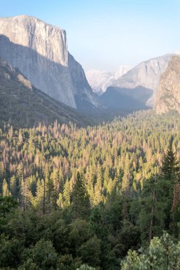 Panoramic view of Yosemite valley from the scenic Tunnel view  viewpoint clipart