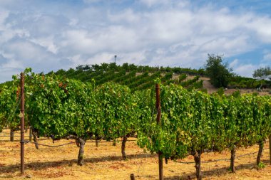 Sonoma Vadisi dünyaca ünlü için onun şarap imalathaneleri olduğunu