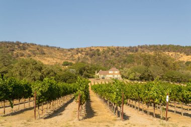 Sonoma Vadisi dünyaca ünlü için onun şarap imalathaneleri olduğunu