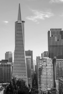 San Francisco, Kaliforniya Eyaleti ABD'de Batı kıyısında yer almaktadır