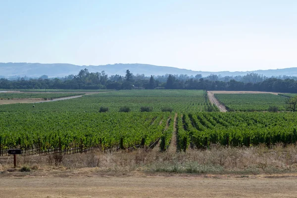 Sonoma Valley Wereldwijd Bekend Haar Wijnhuizen — Stockfoto