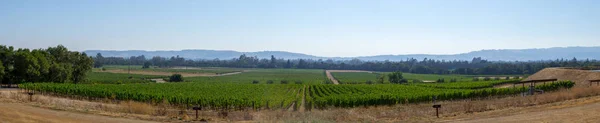 Sonoma Valley World Renowned Its Wineries — Stock Photo, Image