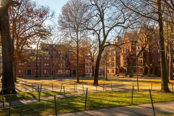 Harvard Üniversitesi 1636 finanse ve sonra onun ilk hayırsever John Harvard adlı