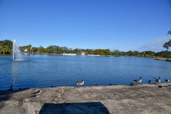 Radfahren Neuen Orleanischen Stadtpark — Stockfoto