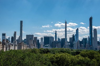 Met'in çatısından Central Park manzarası